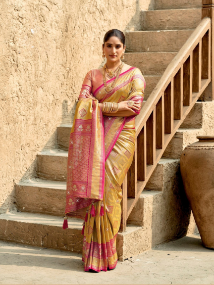 Heavy Swarovski Border Exquisite Silk Saree