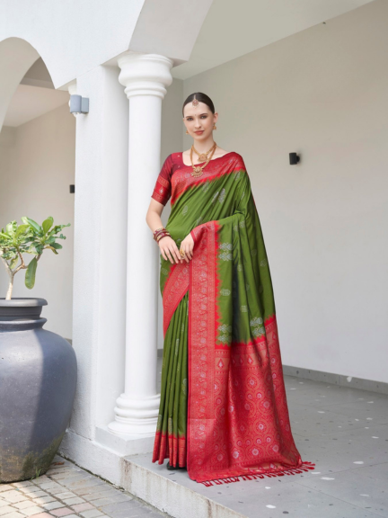 Exclusive Collection : Soft Silk Saree