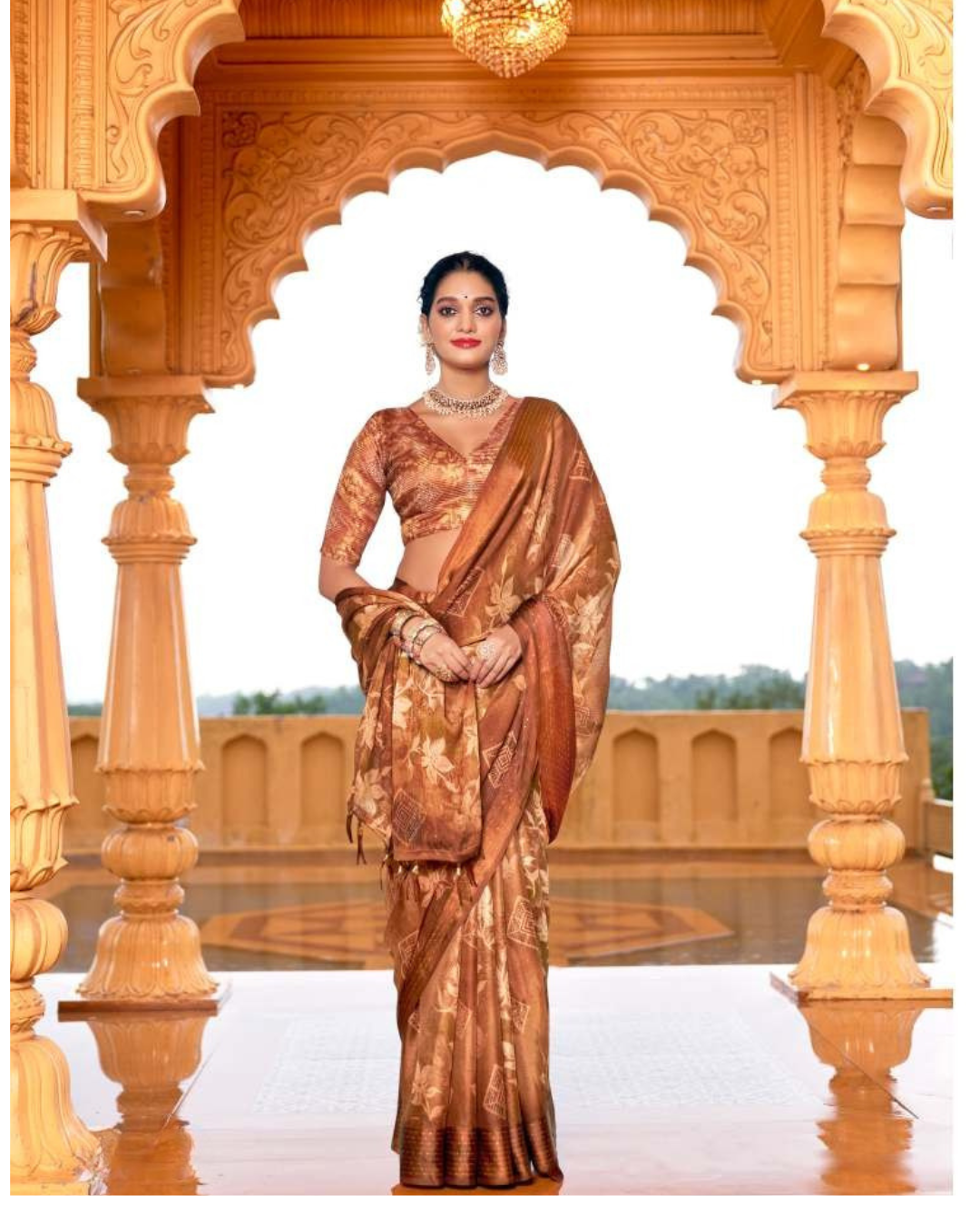 Exclusive Daily Wear Chiffon Sarees