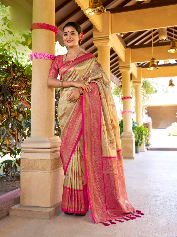 Kanchipuram Silk Saree : Exclusive Collection