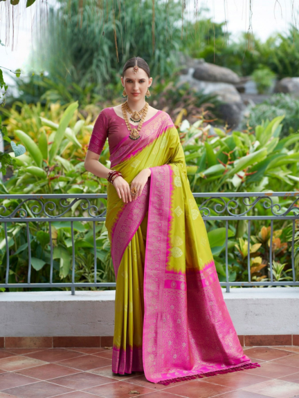 Soft Silk Saree : Traditional Elegance