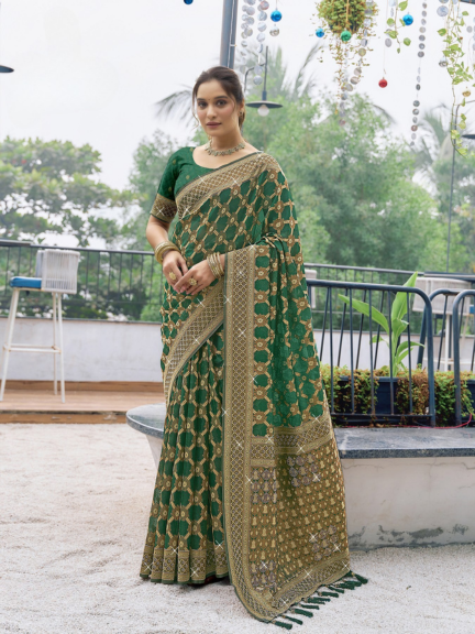 Saree with Swarovski Diamond Work on Pallu & Border