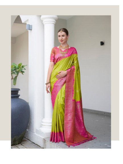 Exclusive Collection : Soft Silk Saree