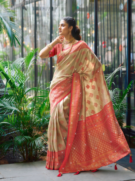 Soft Silk Swarovski Work Saree