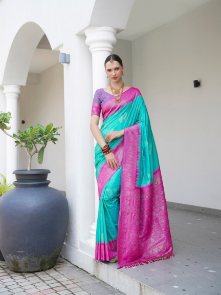 Exclusive Collection : Soft Silk Saree