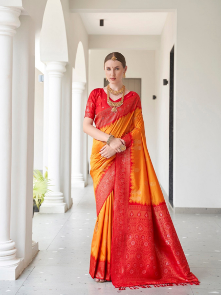 Exclusive Collection : Soft Silk Saree